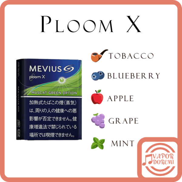 [全新專利!!] PLOOM X 七星加熱煙 專屬煙彈